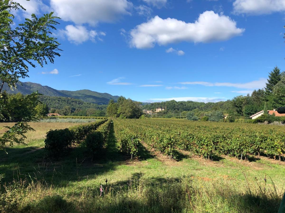 Terres De France - Le Domaine Des Vans Chambonas 외부 사진