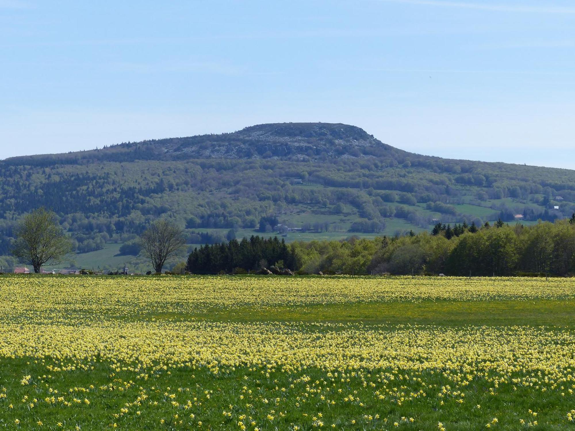 Terres De France - Le Domaine Des Vans Chambonas 외부 사진